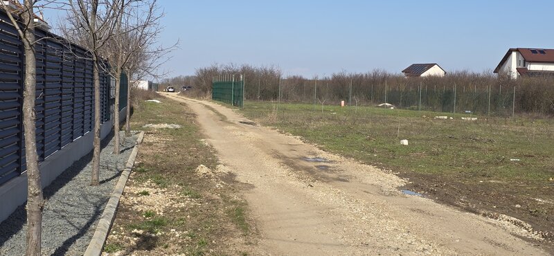 Chitila - Mogosoaia  Str. Nichita Stanescu  Teren 941mp deschidere 48m